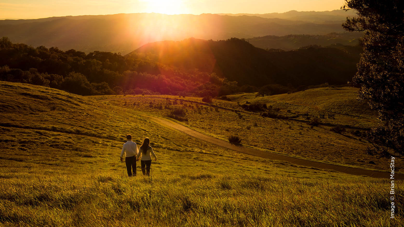 Mastering the Golden Hour