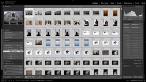 7-Part Series to Step up Your Lightroom Game: Part 3 Cull & Sort Your Files